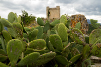 Andalucia, Zahara, Castle, Cacti130-8763