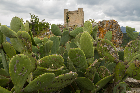 Andalucia, Zahara, Castle, Cacti130-8763