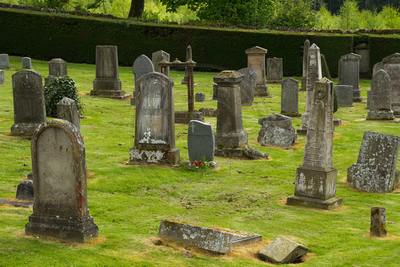 Selkirk, Cemetery131-1499