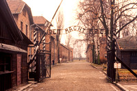 Auschwitz, Concentration Camp S -8516