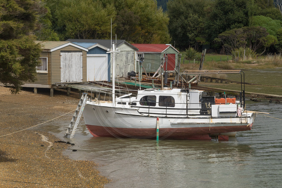Queen Charlotte Sound, Grove Foreshore Reserve, Boat160-2467