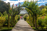 Christchurch, Rose Garden160-3120