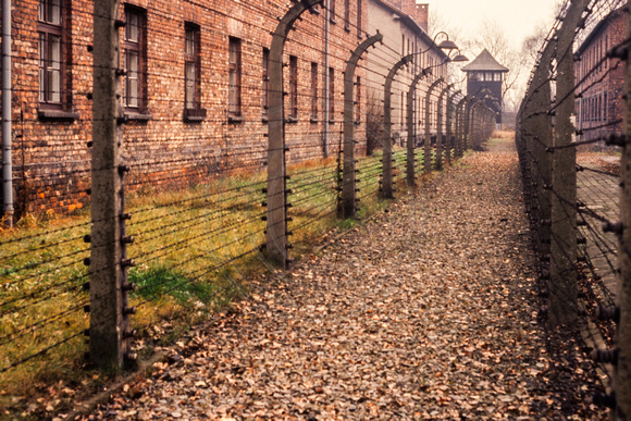 Auschwitz, Concentration Camp S -8522