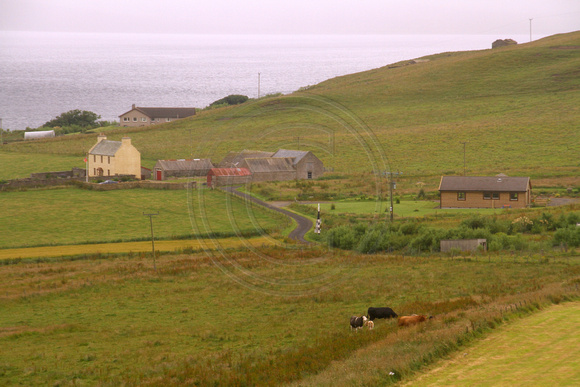 Orkney Islands, Countryside1040005a