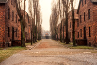 Auschwitz, Concentration Camp S -8517