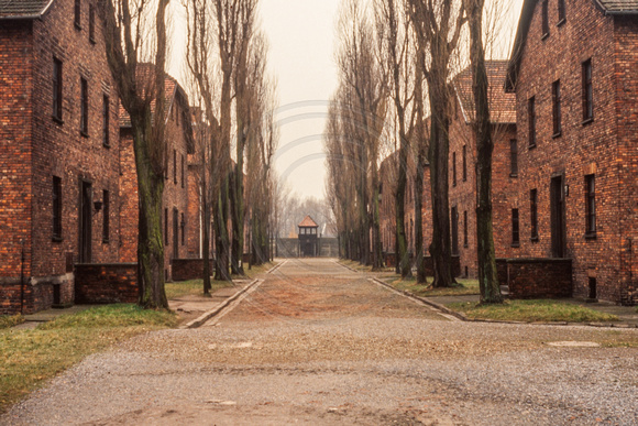 Auschwitz, Concentration Camp S -8517