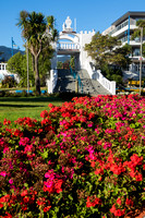 Picton, Waterfront, Flowers V160-3330