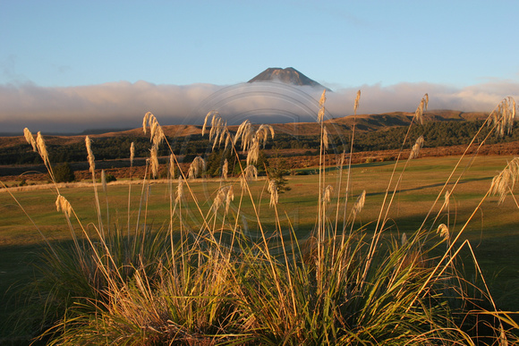 Tongariro NP, Mt Ngauruhoe0731866