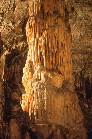 Postojna Caves S V-9652