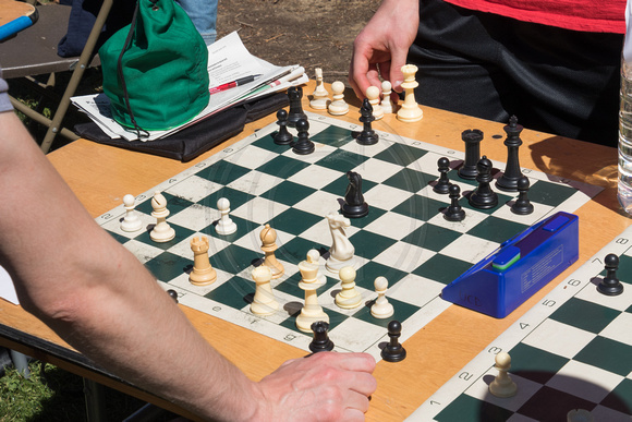 Davis, Picnic Day, Chess Game160-3900