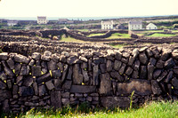 Isle of Inishmore, Stone Wall S -0391