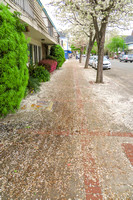 Benicia, Downtown, Sidewalk V160-1659