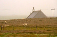 Orkney Islands, Countryside, Church1039966a