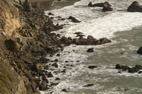 Golden Gate NRA, Muir Beach112-3780
