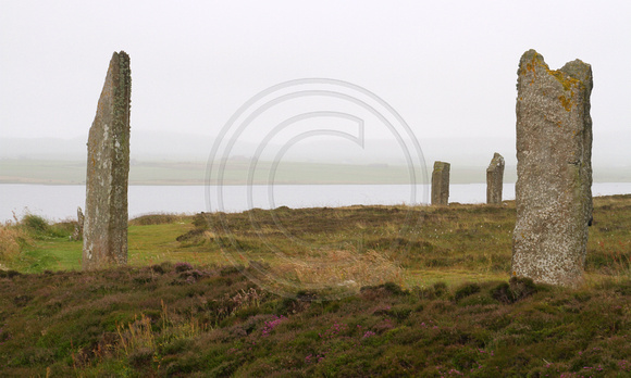 Orkney Islands, Ring of Brodgar1039933a
