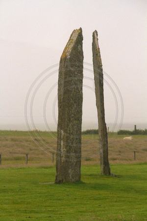 Orkney Islands, Standing Stones of Stennes V1039971a