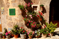 Mallorca, Valldemossa, Bldg, Flowers1033972