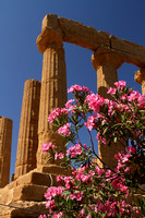 Agrigento, Temple of Juno V1025138