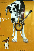 Monte Carlo, Poster, Dogs V1032608a