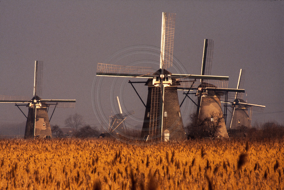 Kinderdijk, Windmills S -9903