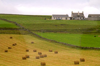 Orkney Islands, Countryside, Farm1039822a