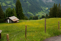Grindelwald Valley, Hut0942405