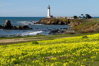 Pigeon Point, Lighthouse140-9530