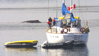 Frederick Sound, Whale, Boat020706-4059a