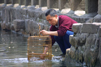 Suzhou, Grand Canal, Cleaning Cage020412-7780
