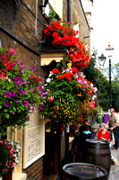 Windsor, Pub, Sign, Flowers V1050497a