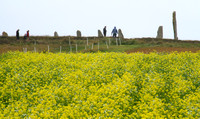Orkney Islands, Ring of Brodgar1039928a