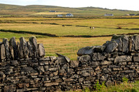 Clare, Loop Head, Stone Wall181-2955