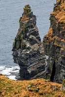 Clare, Cliffs of Moher V181-2737