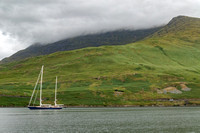 Connemara, Killary Fjord181-3275