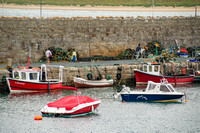 Sligo, Mullaghmore Head, Harbour181-3326
