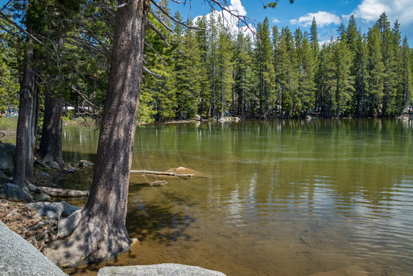 Lake Alpine, Sierras170-6406