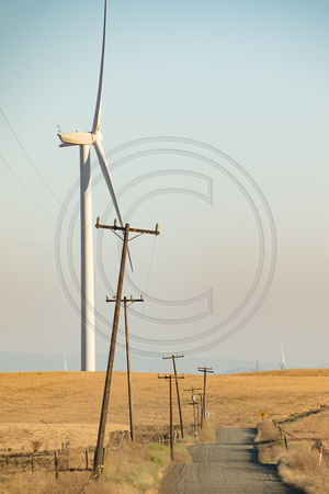 Solano County, Montezuma Hills, Windmills V170-6428