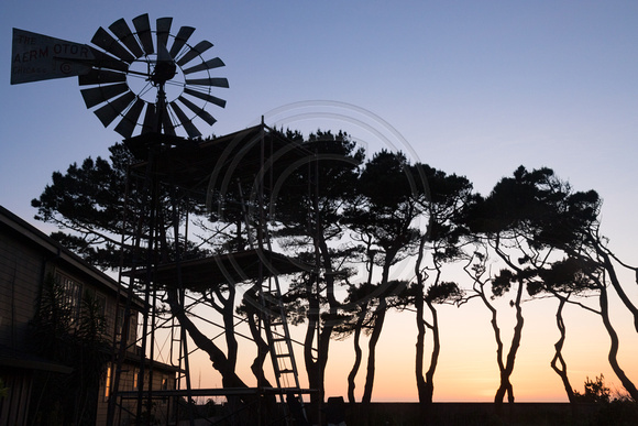 Mendocino, Sunset, Windmill and Trees180-9918