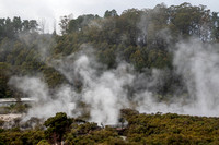Rotorua, Whakarewarewa Geothermal Valley191-2410