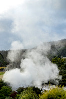 Rotorua, Whakarewarewa Geothermal Valley V191-2412
