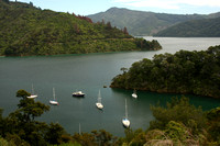Queen Charlotte Sound, Governors Bay0813214