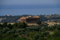 Agrigento, Temple of Concordia1025098