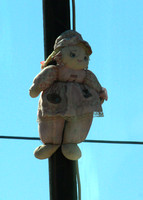 Saranda, nr, Doll on Telephone Pole1019471a