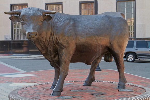 Bull Sculpture, Durham NC