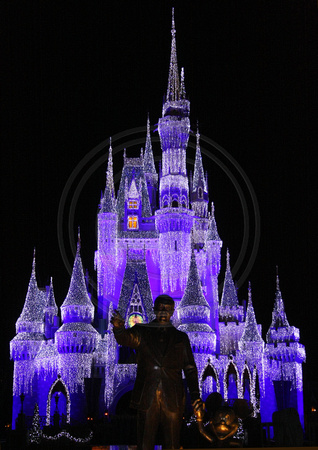 Disney World, Magic Kingdom, Castle N V0835971b