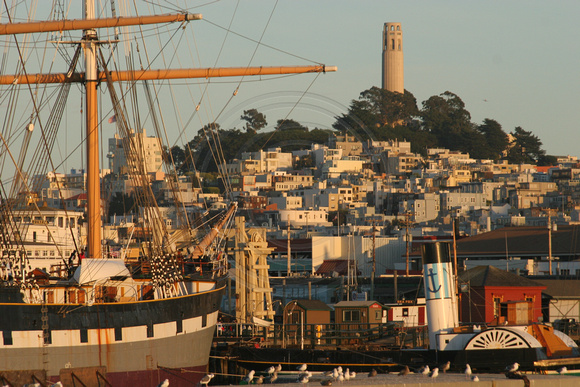 San Francisco, SF Maritime NHP0584183