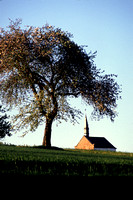 Scheildweiler, Church, Tree, a, V