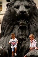 London, Trafalgar Sq, Lion Statue V1049755a