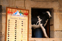 Santillana del Mar, Cow in Window1036543a