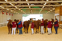 Fryeburg, Fryeburg Fair, Cattle Competition112-1093